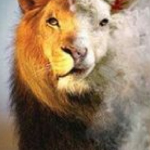 Meet your Posher, Stephanie - Picture 5 of 5